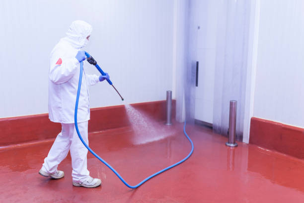 Best Spring Cleaning  in Dobbs Ferry, NY