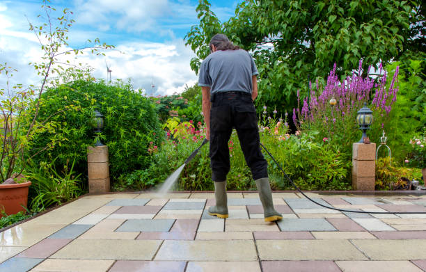 Best Driveway Pressure Washing  in Dobbs Ferry, NY