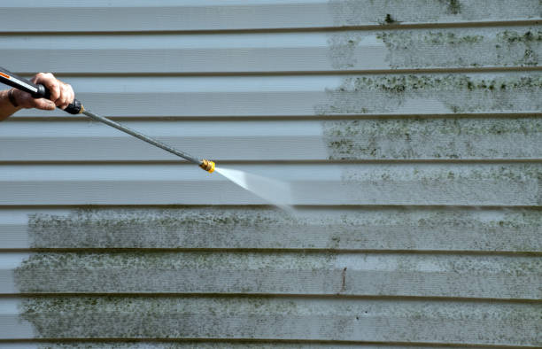 Best Gutter Cleaning  in Dobbs Ferry, NY